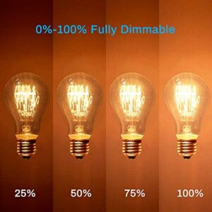 4-Pack Edison Light Bulb, 60 Watts, A19 Vintage Incandescent Light Bulbs, Dimmable Old Fashioned E26 Incandescent Light Bulbs, 240 Lumens, 2100K Warm White, Amber Glass