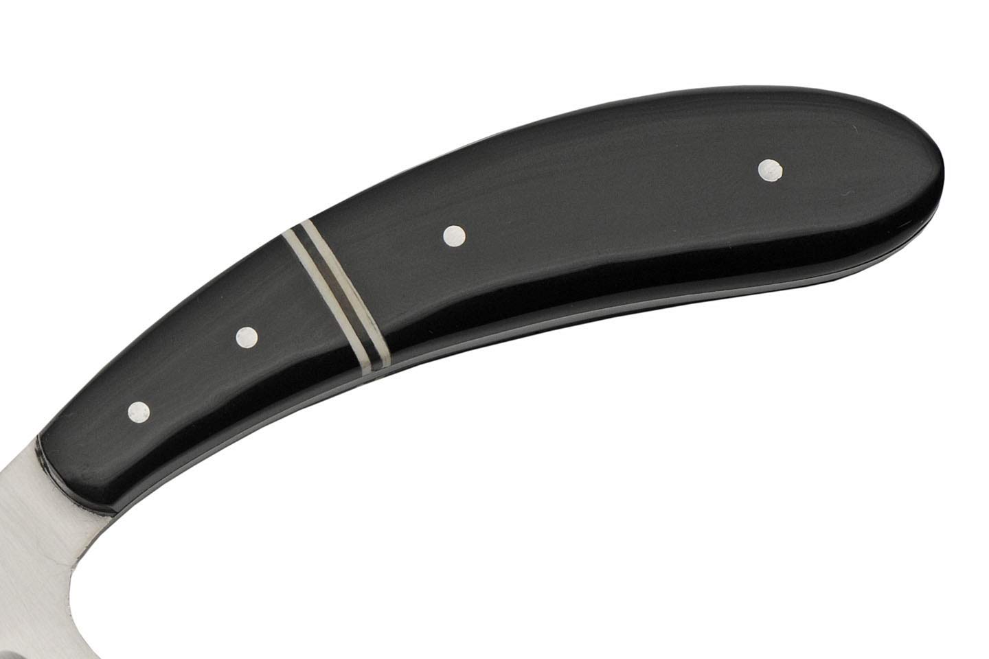 Rite Edge Hunting Knife | Birdwing Full Tang Skinner Buffalo Horn Handle + Leather Sheath