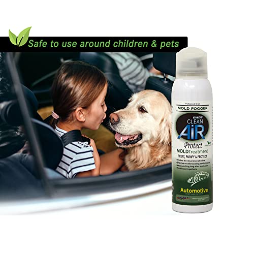 DWD2 Protect™ Automotive Mold Treatment - Revitalize Your Car's Interior The Green Automotive Mold Treatment Solution. Say Goodbye to Unpleasant Odors and Hello to a Fresh and Protected Cabin (FOGGER)