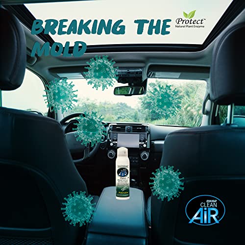 DWD2 Protect™ Automotive Mold Treatment - Revitalize Your Car's Interior The Green Automotive Mold Treatment Solution. Say Goodbye to Unpleasant Odors and Hello to a Fresh and Protected Cabin (FOGGER)