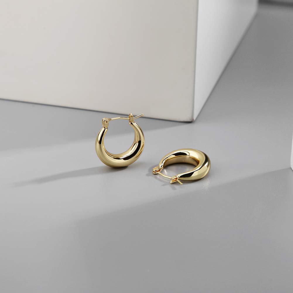 LILIE&WHITE Chunky Gold Hoop Earrings for Women Cute Fashion Hypoallergenic earrings Minimalist Jewelry Gift