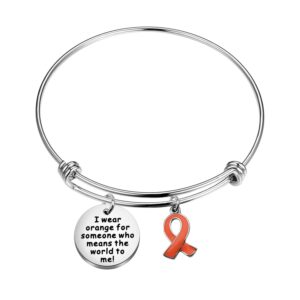 POTIY Orange Awareness Ribbon Charm Bracelet Kidney Cancer Leukemia Multiple Sclerosis Awareness Jewelry Cause Ribbon Inspirational Bracelet for Women (Orange Bracelet)