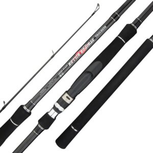 BERRYPRO Light Surf Spinning Rod Striper Fishing Rod Striped Bass Surf Rod (9'/9'6'') (9'6''-Medium (10-20lbs))