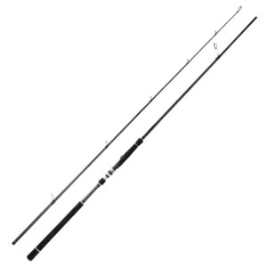 BERRYPRO Light Surf Spinning Rod Striper Fishing Rod Striped Bass Surf Rod (9'/9'6'') (9'6''-Medium (10-20lbs))