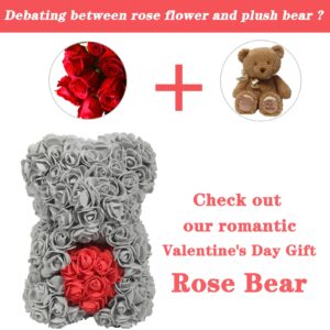 yiwuhongyuz Rose Bear -Over 250+ Flowers Rose Teddy Bear -Valentines Day Gifts for Girlfriend Women, Flower Bear Gifts for Mothers Day for Mom, Anniversary Birthday Gifts - Rose Bear with Box (Grey)