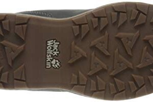 Jack Wolfskin Women's Jack Wt Mid W Hiking Boot, Grey Sand, 9