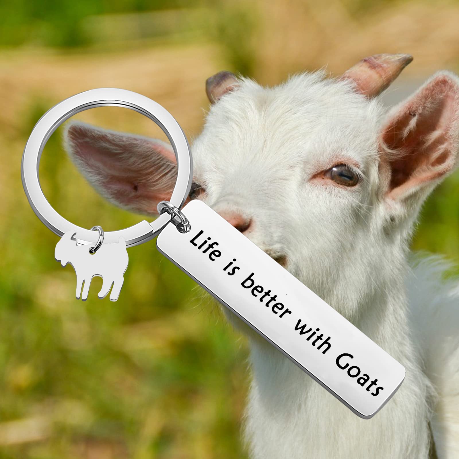 PENQI Goat Jewelry Goat Themed Gift Life is better with Goats Key Ring Funny Gift Farm Gift Farm Animal Lover Jewelry Goat Lover Gift (sliver)