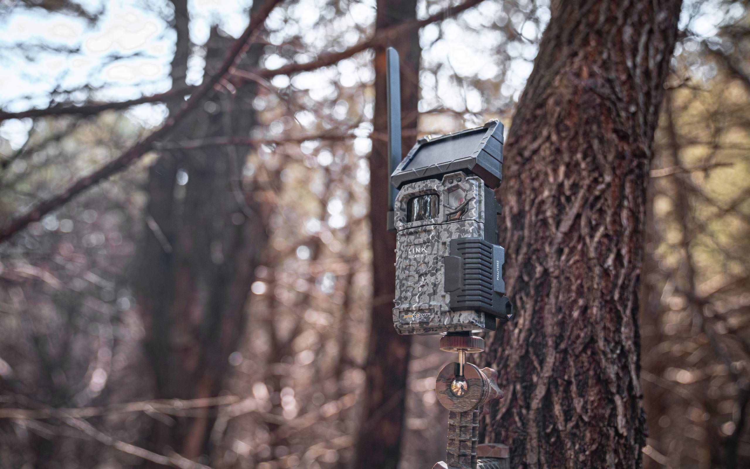 SPYPOINT Link-Micro-S-LTE Solar Cellular Trail Camera with LIT-10 Battery, Micro SD Card, Card Reader, and Mount (Link-Micro-S-LTE-V)