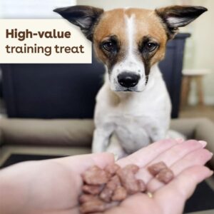 Pupford Freeze Dried Training Treats for Dogs & Puppies, 475+ Two Ingredient Bites (Salmon, 4 oz)