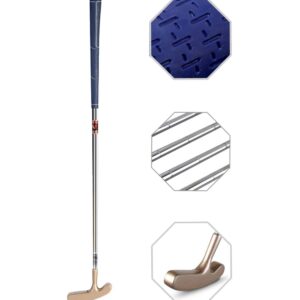 Two Way Junior Golf Putter Stainless Steel Kids Putter Both Left and Right Handed Easily Use for Kids Ages 6-8(Gold Head+Blue Grip,27 inch,Age 6-8)