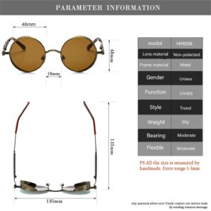 HJSTES Vintage Round Steampunk Sunglasses for Women Men Circle Gothic Glasses Retro Metal Frame(Brown Lens/Bronze Frame)