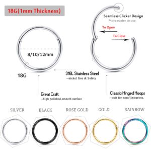 Jstyle 10Pcs 18G Stainless Steel Hinged Clicker Segment Nose Rings Hoop Helix Cartilage Daith Tragus Sleeper Earrings 8MM Improved