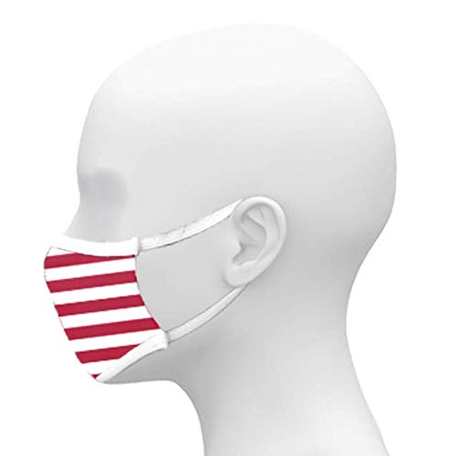 Alleson Athletic Unisex-Adult 3 Ply Sublimated Mask