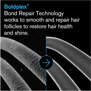 BoldPlex 5 Bond Strengthening Protein Conditioner for Dry Damaged hair - Hydrating Formula for Curly, Dry, Colored, Frizzy, Broken or Bleached Hair Types. Cruelty-free & Vegan