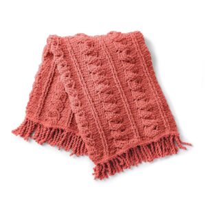 Bernat Blanket Yarn - Big Ball (10.5 oz) - 2 Pack with Pattern Cards in Color (Terracotta Rose)