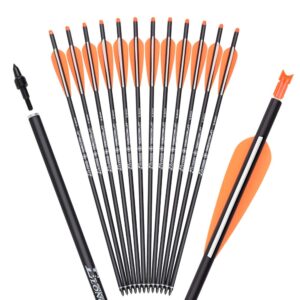 20Inch Carbon Crossbow Bolts Hunting Archery Arrows with 4" Vanes Moon Nocks Target Tip (Pack of 12)