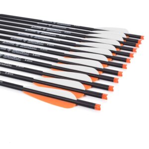 20Inch Carbon Crossbow Bolts Hunting Archery Arrows with 4" Vanes Moon Nocks Target Tip (Pack of 12)