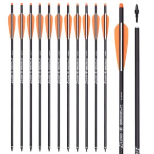 20Inch Carbon Crossbow Bolts Hunting Archery Arrows with 4" Vanes Moon Nocks Target Tip (Pack of 12)