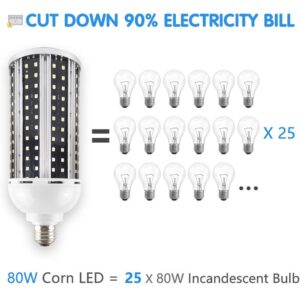 Intpro LED Light Bulb,80W LED Corn Light Bulb Lamp 8000LM E26/E27 5000K 85V~265V Super Bright Cob Light LED Garage Lights for Basement barn Workshop Warehouse Factory Porch Backyard High Bay Street