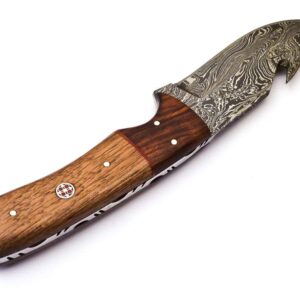 Rare Custom Damascus Fuller Gut Hook Knife Skinning Knife Hunting Knife |Outdoor Knife Camping Knife | Color Wood Handle with Free Genuine Leather Sheath (S-76)