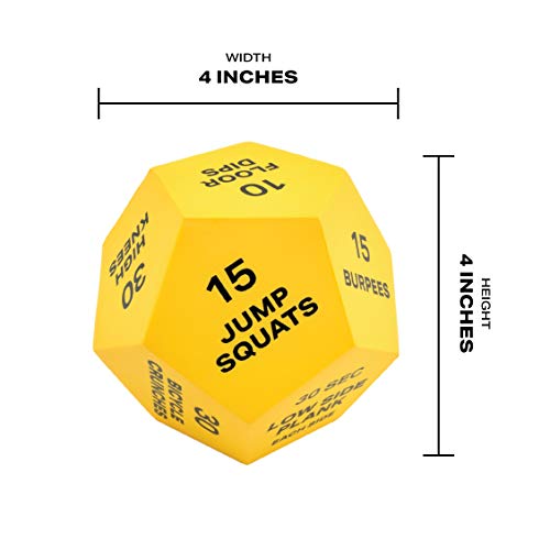 Altair Exercise Dice - Full Body HIIT Workout - Perfect for Home Gym Bodyweight Workout, Strength Training & Cardio, Three 12-Sided Workout Dice, Illustrations & Mesh Bag