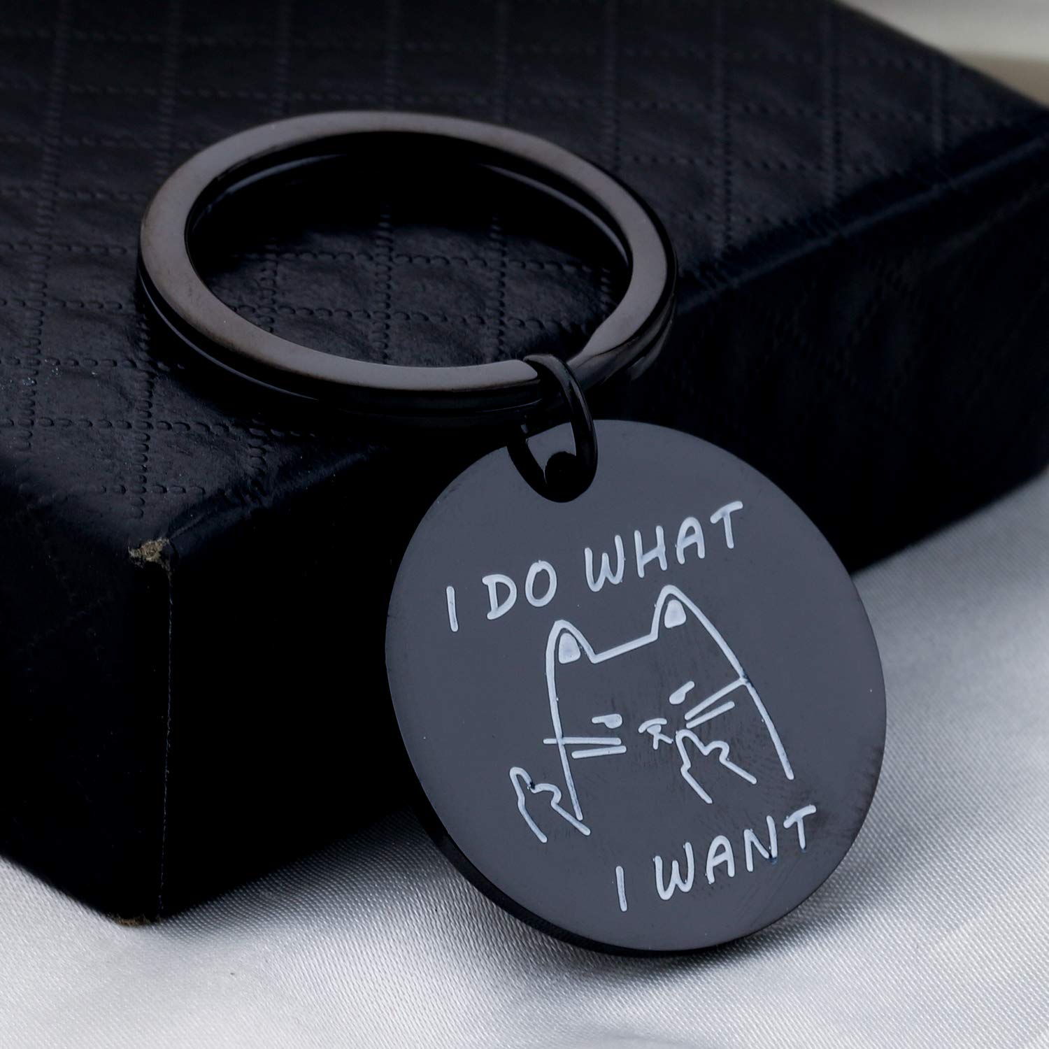 BNQL Funny Cat I Do What I Want Keychain Bracelet Geeky Keyrings Gifts (black)