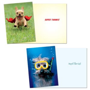 Avanti Press Thank You Greeting Card Variety Pack, 6-Count (32089)