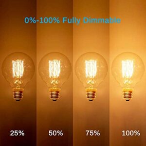 New Lights G25 Globe Edison Bulb, 60W Vintage Round Edison Bulb, Vintage Light Bulb, Old Fashion Dimmable Retro Incandescent Light Bulbs, 2100K Warm White, 240 Lumens,E26, Amber Glass, 4 Pack