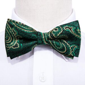 YOHOWA Green Gold Bow Tie and Pocket Square Set Pretied Bow Tie with Gold Diamond Ring