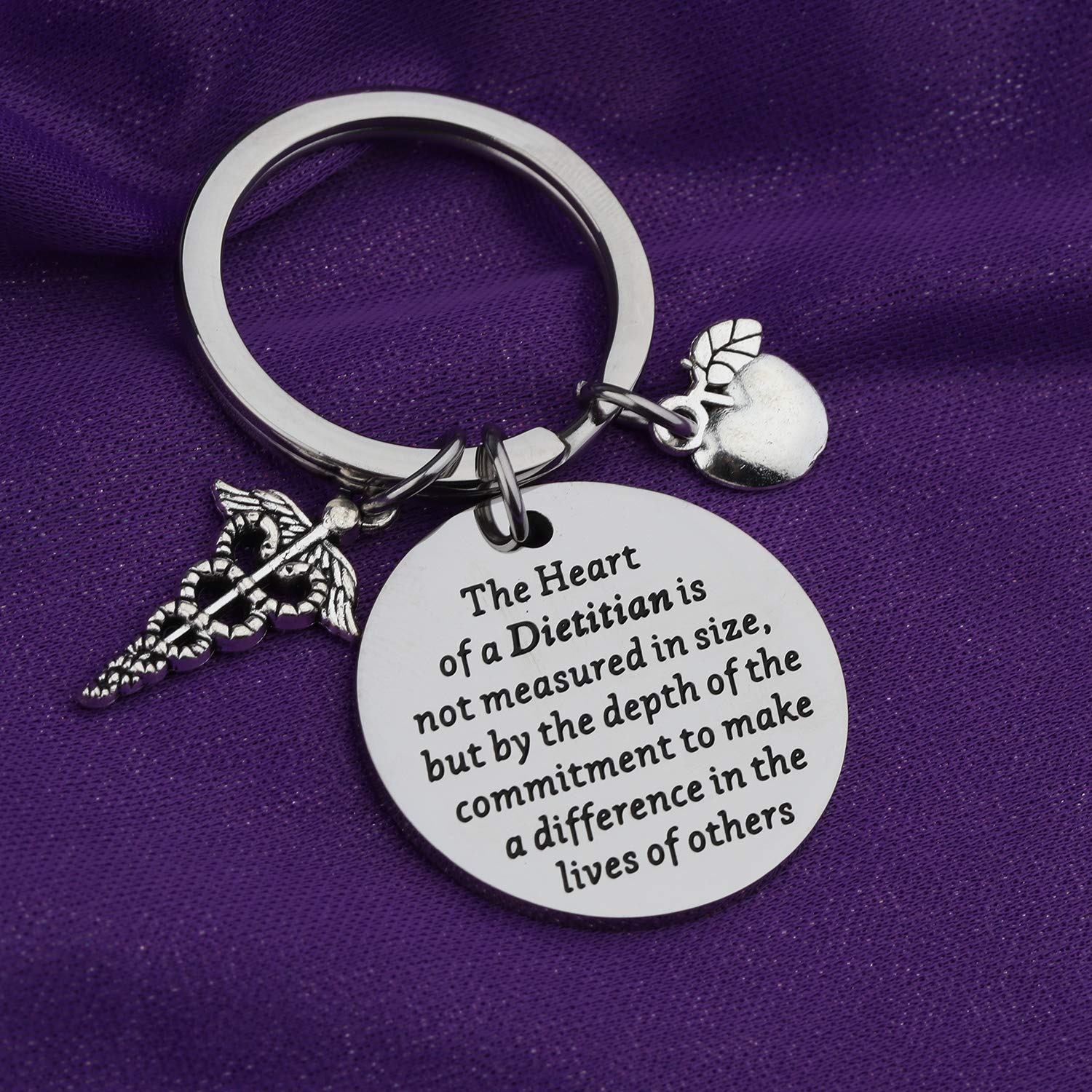 LQRI Dietitian Gift Dietitian Thank You Gift The Heart of A Dietitian Is Not Measured In Size Keychain Nutritionist Gift Registered Dietitian Gift Food Teacher Appreciation Gift (silver)