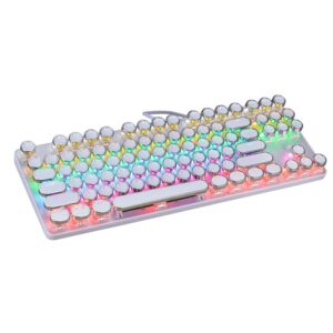 K917 RGB Mechanical Gaming Keyboard 87Key Retro Keyboard-Blue Switch-LED Backlit- Round Keycaps Anti-Ghosting Mechanical Illuminated Keyboard for PC Gaming and MAC (Retro-White)