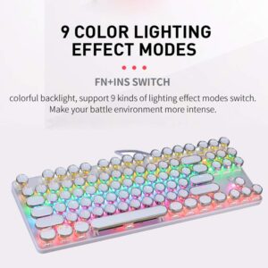 K917 RGB Mechanical Gaming Keyboard 87Key Retro Keyboard-Blue Switch-LED Backlit- Round Keycaps Anti-Ghosting Mechanical Illuminated Keyboard for PC Gaming and MAC (Retro-White)