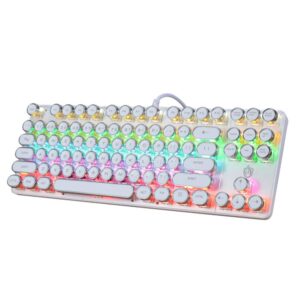 K917 RGB Mechanical Gaming Keyboard 87Key Retro Keyboard-Blue Switch-LED Backlit- Round Keycaps Anti-Ghosting Mechanical Illuminated Keyboard for PC Gaming and MAC (Retro-White)