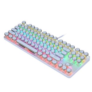 K917 RGB Mechanical Gaming Keyboard 87Key Retro Keyboard-Blue Switch-LED Backlit- Round Keycaps Anti-Ghosting Mechanical Illuminated Keyboard for PC Gaming and MAC (Retro-White)