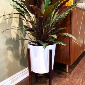 RAINBLELAND Plant Stand, Excluding Planter Stand Pot, Mid Century modern Plant Stands for Indoor Plants, Indoor Plant Stand fits 8 9 10 11 12 Inches Plant Pots, Plant Holder Stand, Bamboo Stand