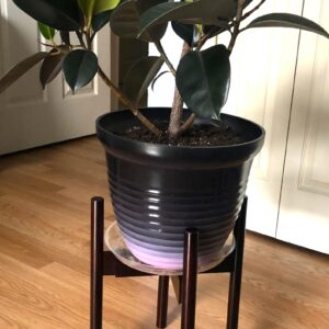 RAINBLELAND Plant Stand, Excluding Planter Stand Pot, Mid Century modern Plant Stands for Indoor Plants, Indoor Plant Stand fits 8 9 10 11 12 Inches Plant Pots, Plant Holder Stand, Bamboo Stand