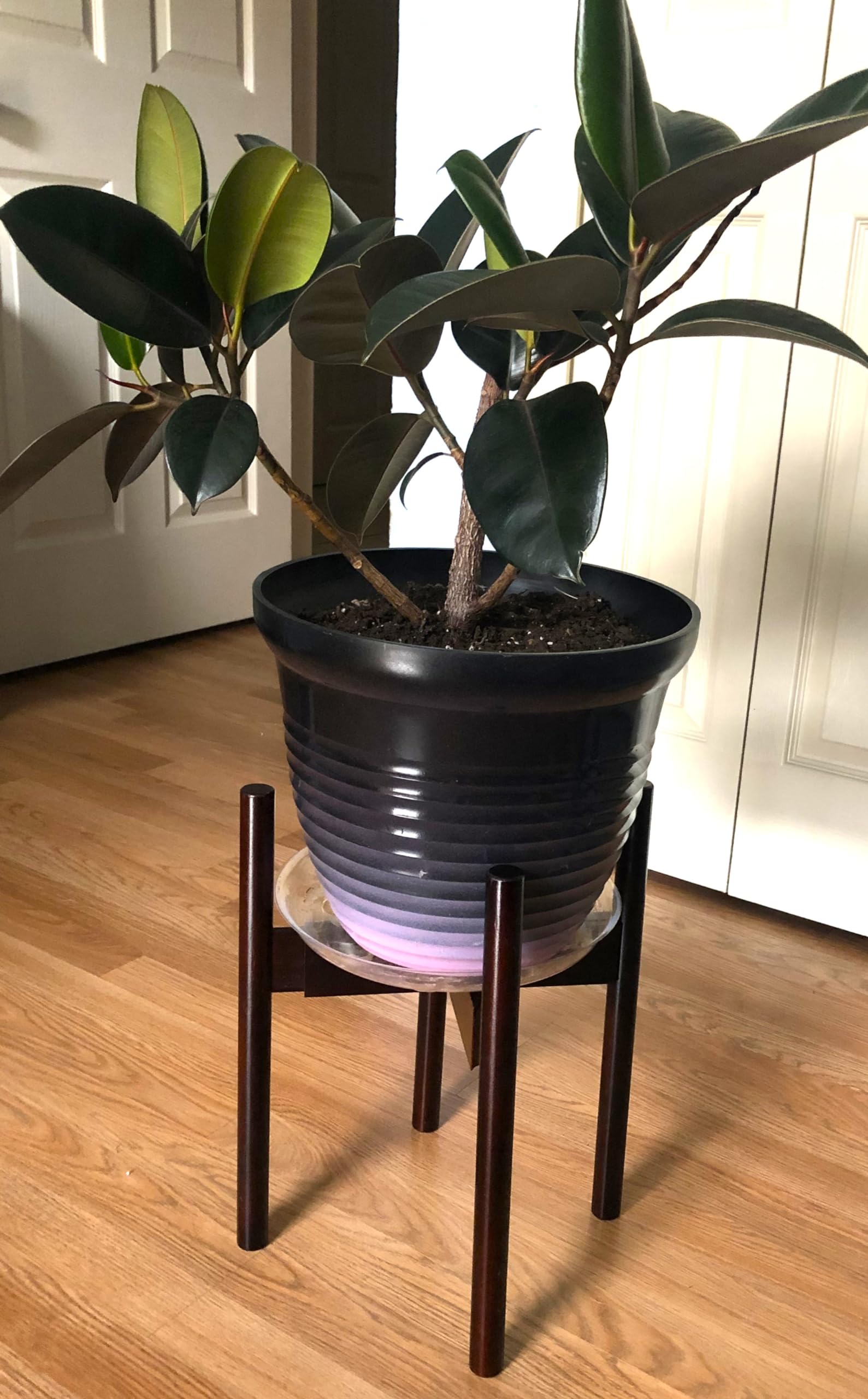 RAINBLELAND Plant Stand, Excluding Planter Stand Pot, Mid Century modern Plant Stands for Indoor Plants, Indoor Plant Stand fits 8 9 10 11 12 Inches Plant Pots, Plant Holder Stand, Bamboo Stand