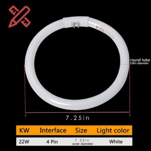 Poweka T5-22W Circular Bulb,7.25inch Round Mirror Light Bulb Replacement Compatible with Floxite/Zadro/Rialto Makeup Magnifying Vanity Mirror, Makeup Mirror Fluorescent Light Bulb