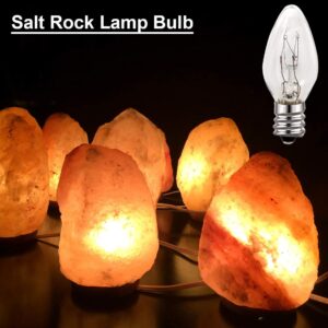 12 Pack, 15 Watt Light Bulbs for Himalayan Salt Lamps & Baskets, Chandeliers, Scentsy & Wax Warmers, E12 Base