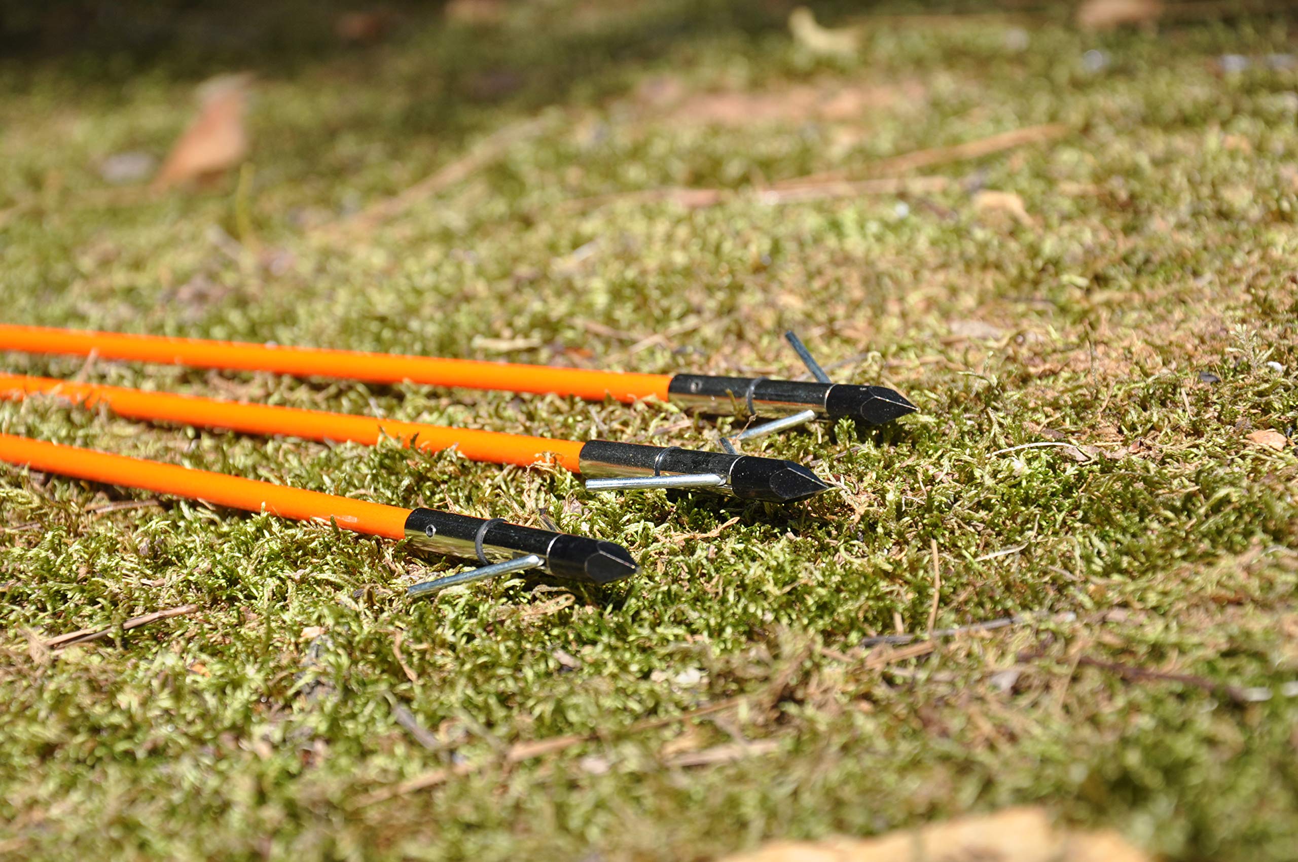 Pocket Shot Bow Fishing Arrows (3 Pack) with Slide, 2 Barb.