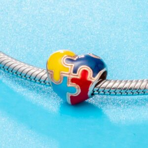 HOMIEBUDS Autism Awareness Charm, Rose Gold Puzzle Pieces Charms, fits DIY Snake Bracelet, 925 925 Sterling Silver Heart Beads Colorful Enamel Charms, Love Gifts for Women/Men/Girls/Boys