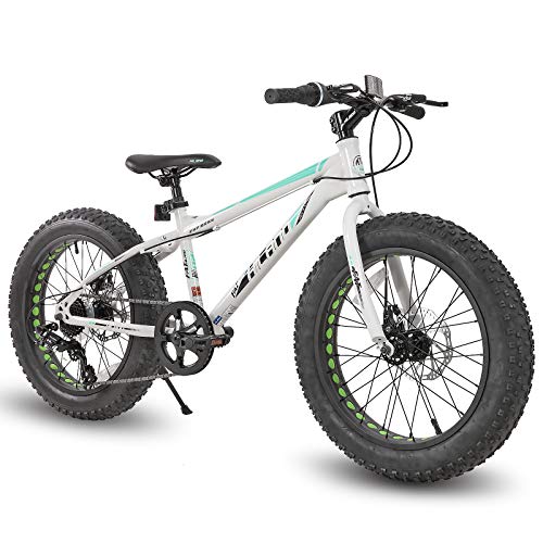 HH HILAND 20 Inch Kids' Bicycles Fat Tire Mountain Bike for Boys and Girls Age 5 + Years, 7-Speed, Dual-Disc Brake, Kids Beach and Snow Bicycle