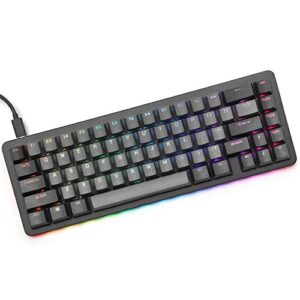 Drop ALT Mechanical Keyboard — 65% (67 Key) Gaming Keyboard, Hot-Swap Switches, Programmable Macros, RGB LED Backlighting, USB-C, Doubleshot PBT, Aluminum Frame (Halo True, Black)