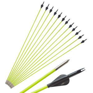 ZSHJGJR 30 Inch Archery Fiberglass Arrow Spine 600 Arrow Hunting Target Practice Arrow for 10-30 Lbs Recurve Straight Compound Bow 6 or 12pcs (6pcs)