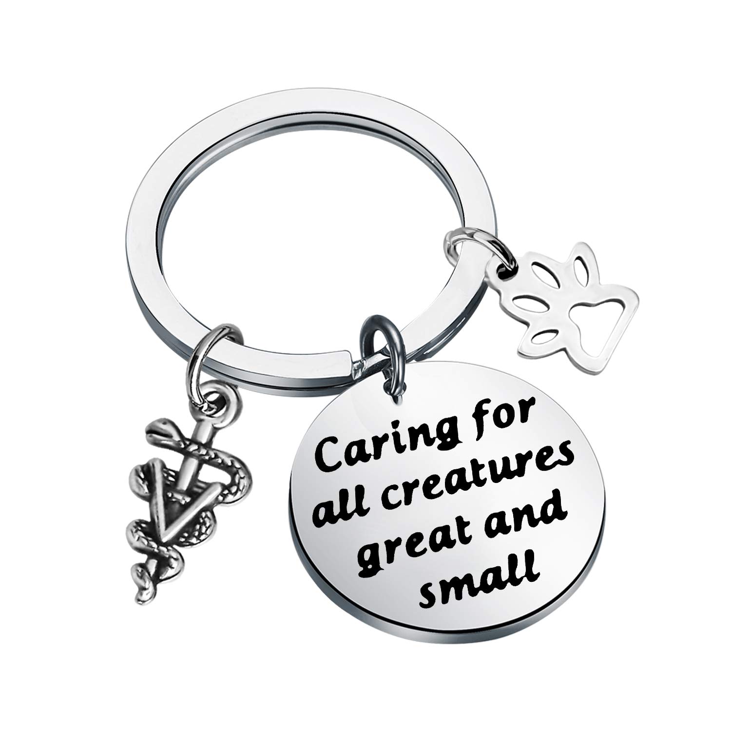 WSNANG Veterinarian Jewelry Caring For All Creatures Great And Small Keychain Veterinary Technician Gifts Vet Tech Jewelry Veterinarian Graduation Gifts (Veterinarian Keychain)