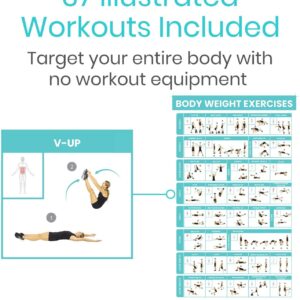 Vive Bodyweight Exercise Poster - Workout Poster for Home Gym Decor - Body Weight Laminated Poster - Workout Room Accessories - Hitt Chart For Abs, Glute, Core, Legs, Arms, Back - No Equipment Needed