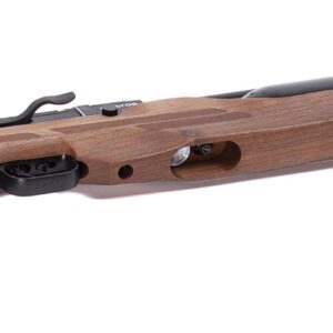 Benjamin Kratos BPK25W .25-Caliber Pellet PCP Hunting Air Rifle