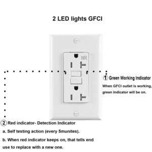 GFCI Outlet 20 Amp Wall Outlets Duplex Outlet Receptacle with LED Indicator,Self-Test, Weather Resistant, Tamper Resistant, UL Listed, Decor Wallplate Included (10)