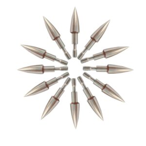 100 Grain Field Points,5/16 Stainless Steel Archery Target Bullet Point Sharp Targethead Screw in Broadheads (1 Dozen 12 PCS)