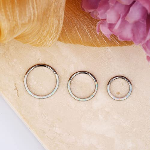 Jewseen G23 Solid Titanium Hinged Segment Hoop Rings White Opal Daith Earring Hoop 16G Tragus Helix Rings Cartilage Piercing Septum Clicker Body Jewelry